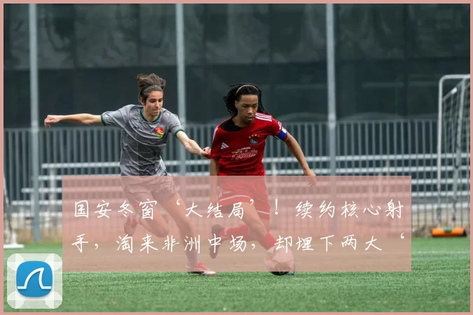 国安冬窗‘大结局’！续约核心射手，淘来非洲中场，却埋下两大‘定时炸弹’_法比奥_球迷_赛季